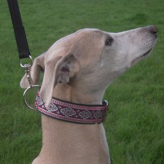 greyhound house collar