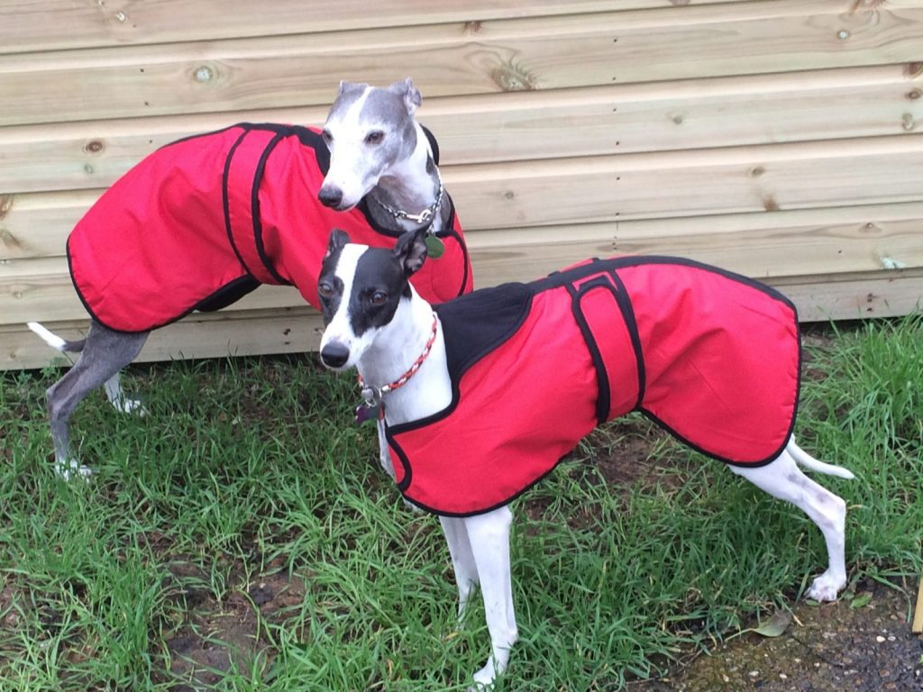 Waterproof rain coats for whippets and grey hounds