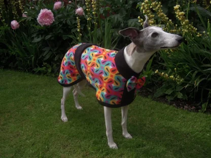 Fleece coats for whippets and grey hounds
