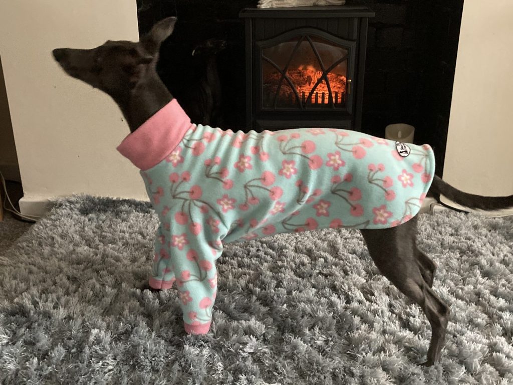 Long Sleeved Fleece Jumpers - Cherry