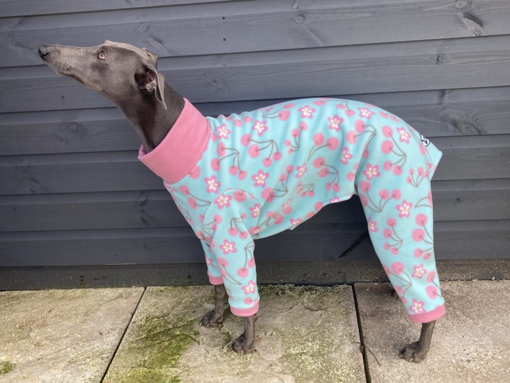 Fleece Pj's Onesie for whippets & Grey hounds