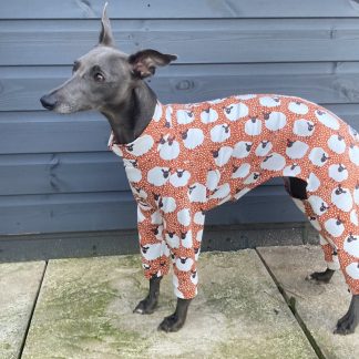 whippet clothes
