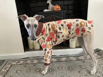 Fleece jumpers for whippets and greyhounds Halloween