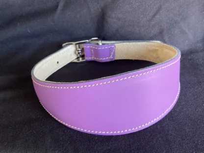 Leather hound collars for whippets and greyhounds