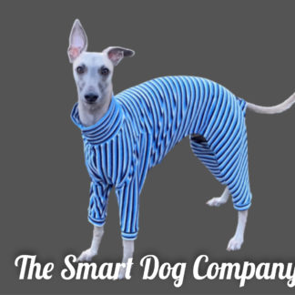 Stripey Brushed Cotton Jersey Onesie Blue or Green - 19", Blue