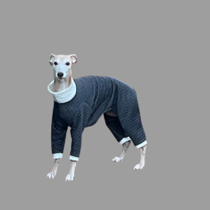 Whippet greyhound quilted pjs onesie The Smart Dog Company