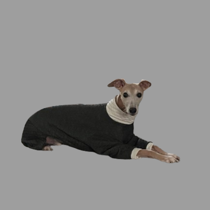 Whippet greyhound quilted pjs onesie The Smart Dog Company