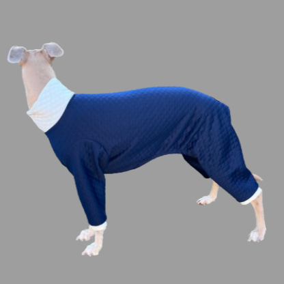 Whippet quilted Pjs Onesie The Smart Dog Company