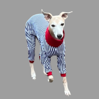 Whippet Onesie - Navy Stripe - Red Collar & Cuffs The Smart Dog Company