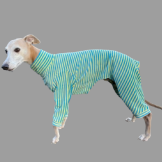 Whippet & greyhound Velour Onesie- Turquoise/Yellow Stripes. The Smart Dog Company