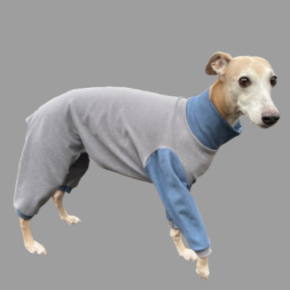 Soft & Warm Onesie for whippets & Greyhounds. The Smart Dog Company