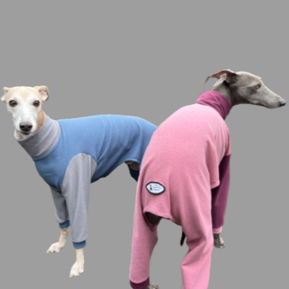 Whippet Greyhound Onesie in super soft fabric. The Smart Dog Company