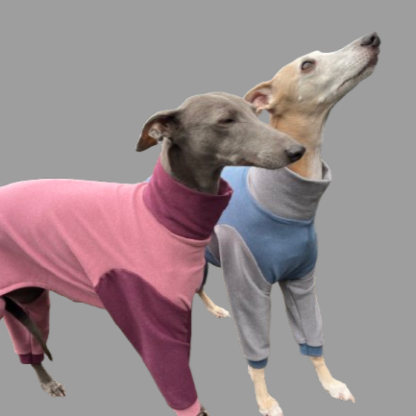 Whippet Greyhound Onesie in super soft fabric. The Smart Dog Company