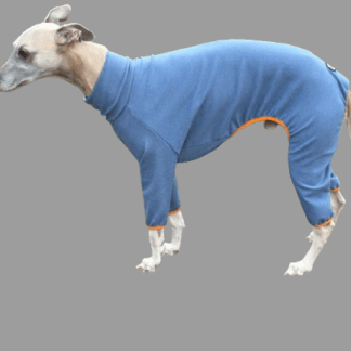 Whippet stretch cotton onesie denim blue orange trim. the Smart Dog Company