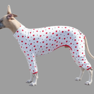 Whippet Cotton Onesie Pjs - Ladybird - The Smart Dog Company