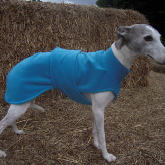 Bertie Coat -Turquoise