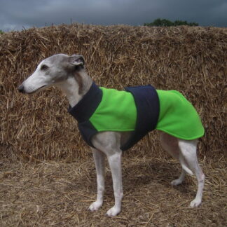 Bertie Coat - Lime Green & Navy